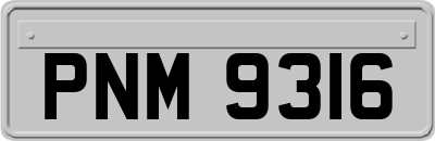 PNM9316