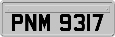 PNM9317