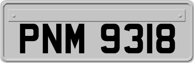 PNM9318