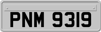 PNM9319