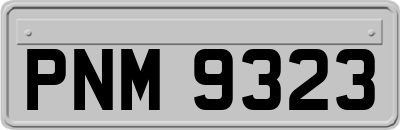 PNM9323