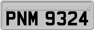PNM9324