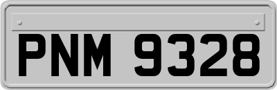 PNM9328