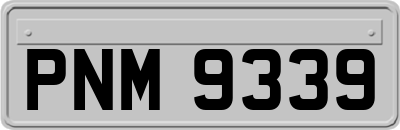 PNM9339