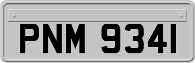 PNM9341