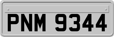 PNM9344