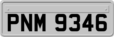PNM9346