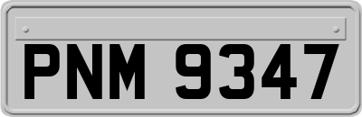 PNM9347