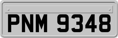 PNM9348