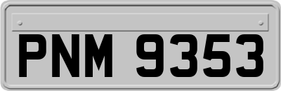 PNM9353