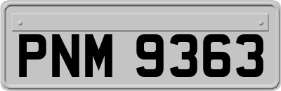 PNM9363