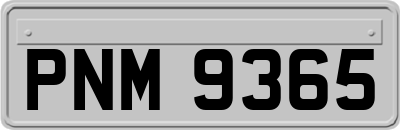 PNM9365