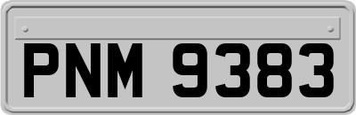 PNM9383