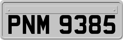 PNM9385