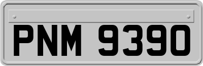 PNM9390