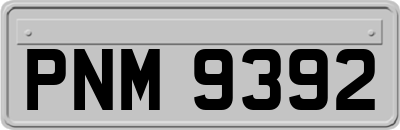 PNM9392