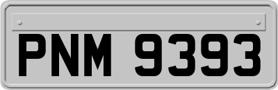 PNM9393