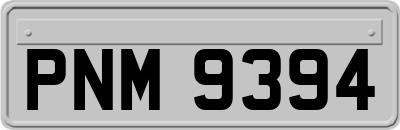 PNM9394