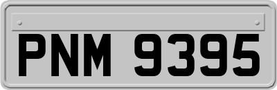 PNM9395