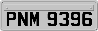 PNM9396