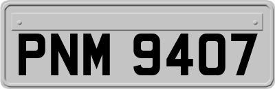 PNM9407