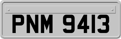 PNM9413