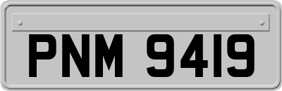 PNM9419