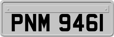 PNM9461
