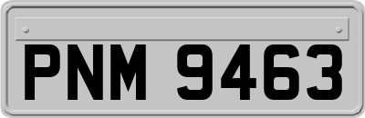 PNM9463
