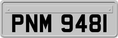 PNM9481