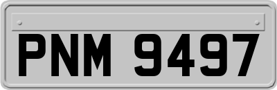 PNM9497