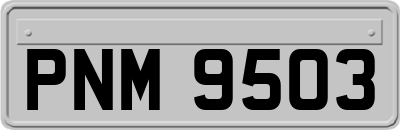 PNM9503