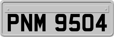 PNM9504