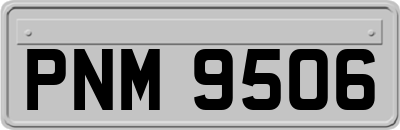 PNM9506