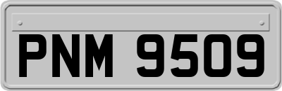 PNM9509
