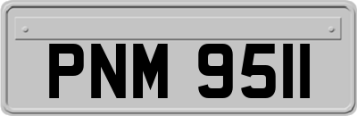 PNM9511