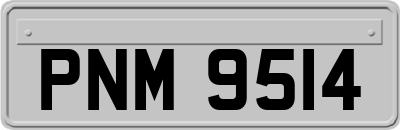 PNM9514