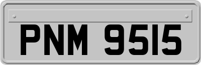 PNM9515