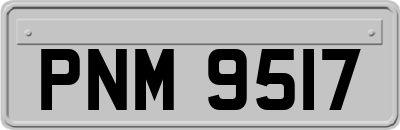PNM9517