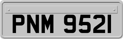 PNM9521