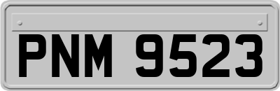 PNM9523
