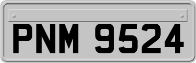 PNM9524