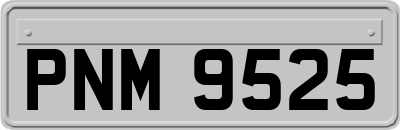 PNM9525