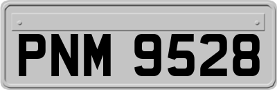 PNM9528