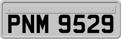 PNM9529
