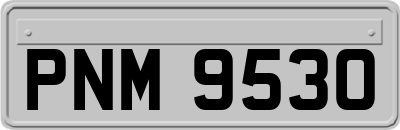 PNM9530