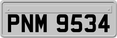 PNM9534