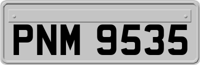 PNM9535