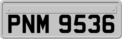 PNM9536