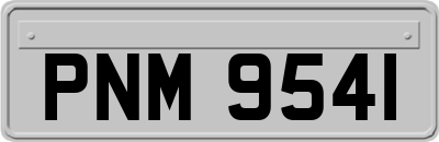 PNM9541